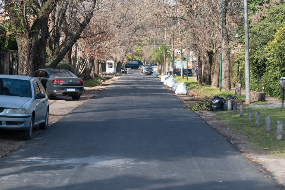 Tasación Inmobiliaria en Lomas de San Isidro: Valores del m2, Guia Completa y Mercado 2 Calles arboladas de Las Lomas de San Isidro con platanos y tipas centenarias que caracterizan el barrio premium